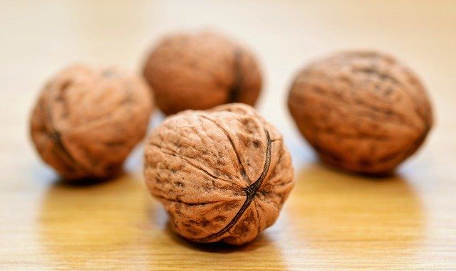 k walnuts 552975 640