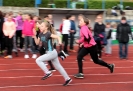 Lauf