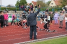 Lauf