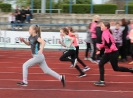 Lauf