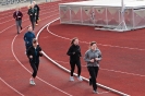Lauf
