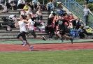 Lauf