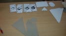 Projekttag