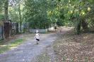 Parklauf