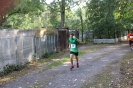 Parklauf