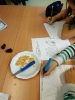 Projektwoche