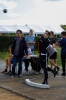 Sportfest